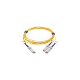 SFP+ 10GbE Module for N3000 Series