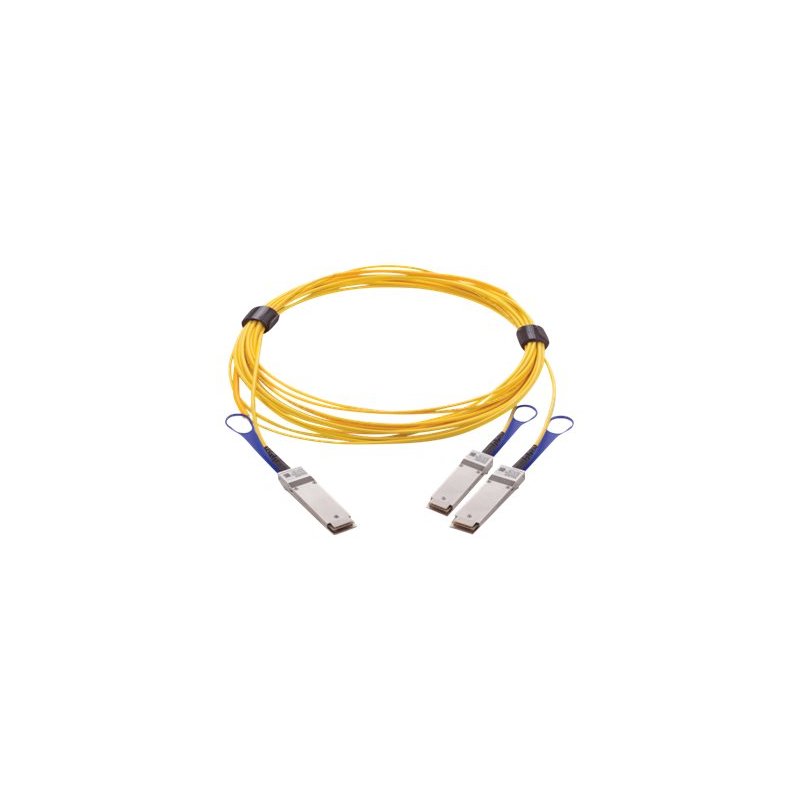 SFP+ 10GbE Module for N3000 Series