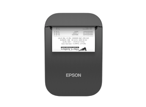 EPSON TM-P80II AC (132): PRNT