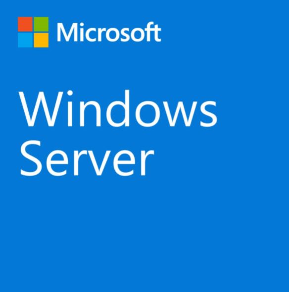 Windows Server CAL 2022 Portugués 1pk DSP OEI 1 Clt Device CAL